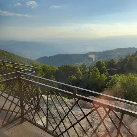 President Kop * كوباونيك